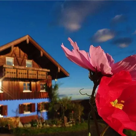 Blumenoase Allgaeu *
