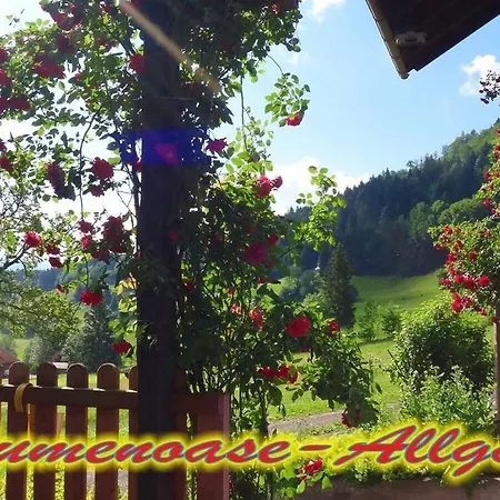 Blumenoase Allgaeu Blaichach
