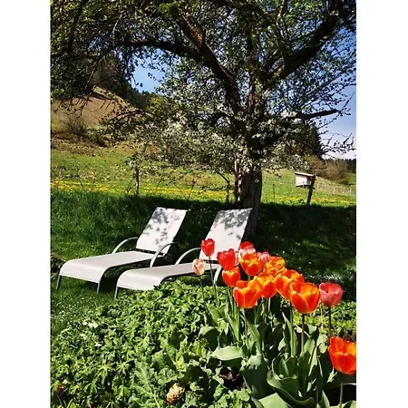 בית נופש Blumenoase Allgaeu *